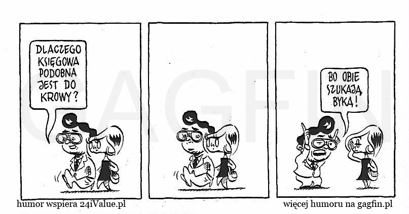 Księgowy, http://gagfin.pl